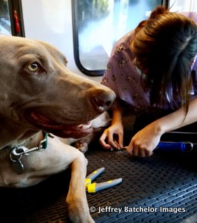 Resized_20170721_130620 2